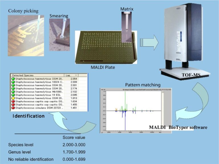 Maldi Instrument Animation MALDI-TOF – The Noguchi Memorial Institute for Medical Research