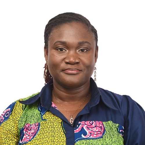 PROF. LINDA EVA AMOAH (SENIOR RESEARCH FELLOW)