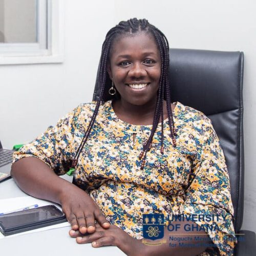 Mrs. Vida Yirenkyiwaa Adjei (Principal Research assistant)