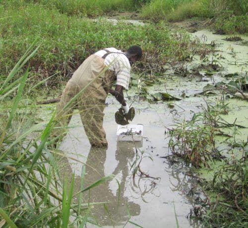 Photo_2_Sampling-Aquatic-environments-scaled-ppbvhc8324hqmwm0c2k28ctixvcxe1pu78irdaarco